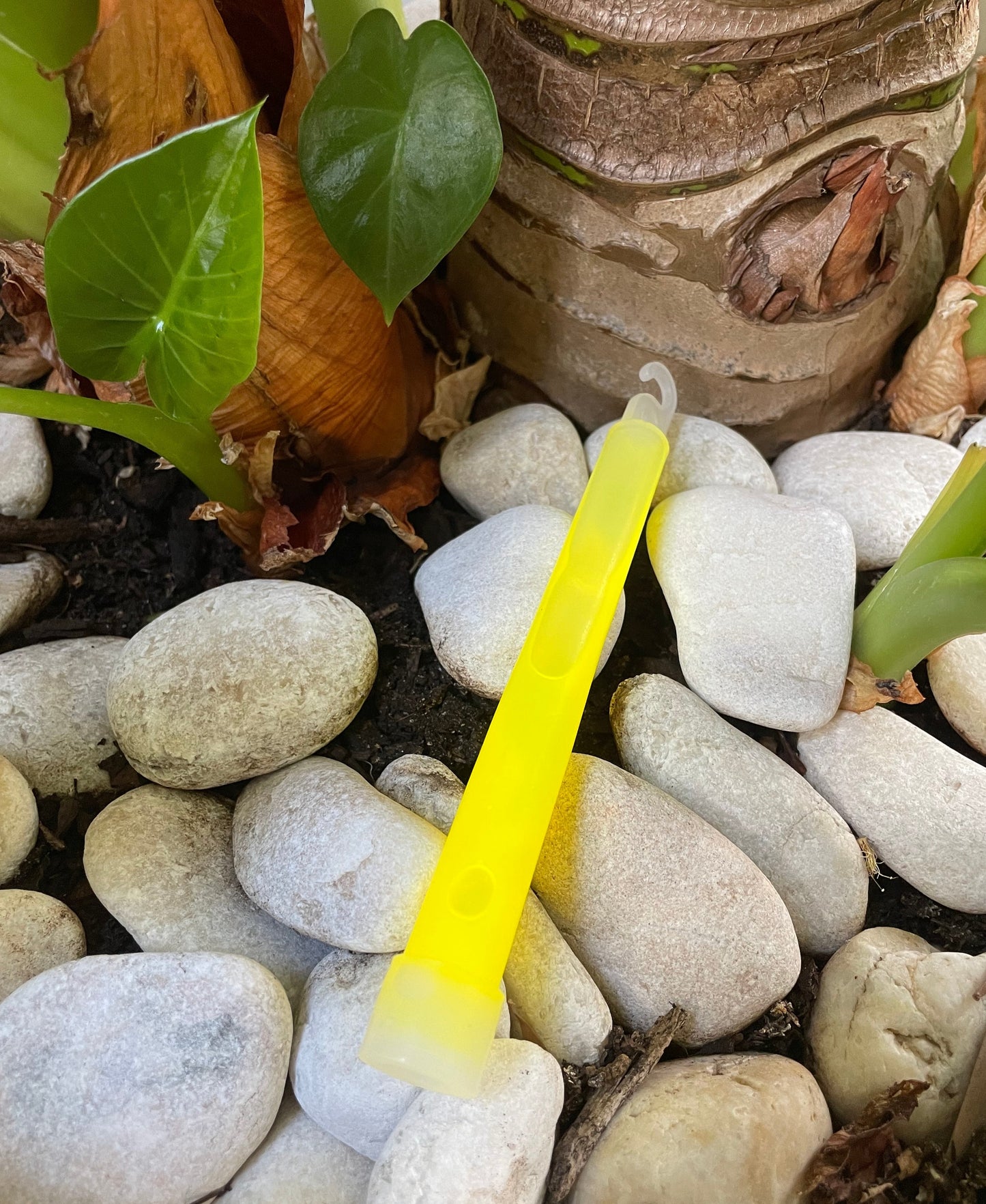 Survival military light sticks